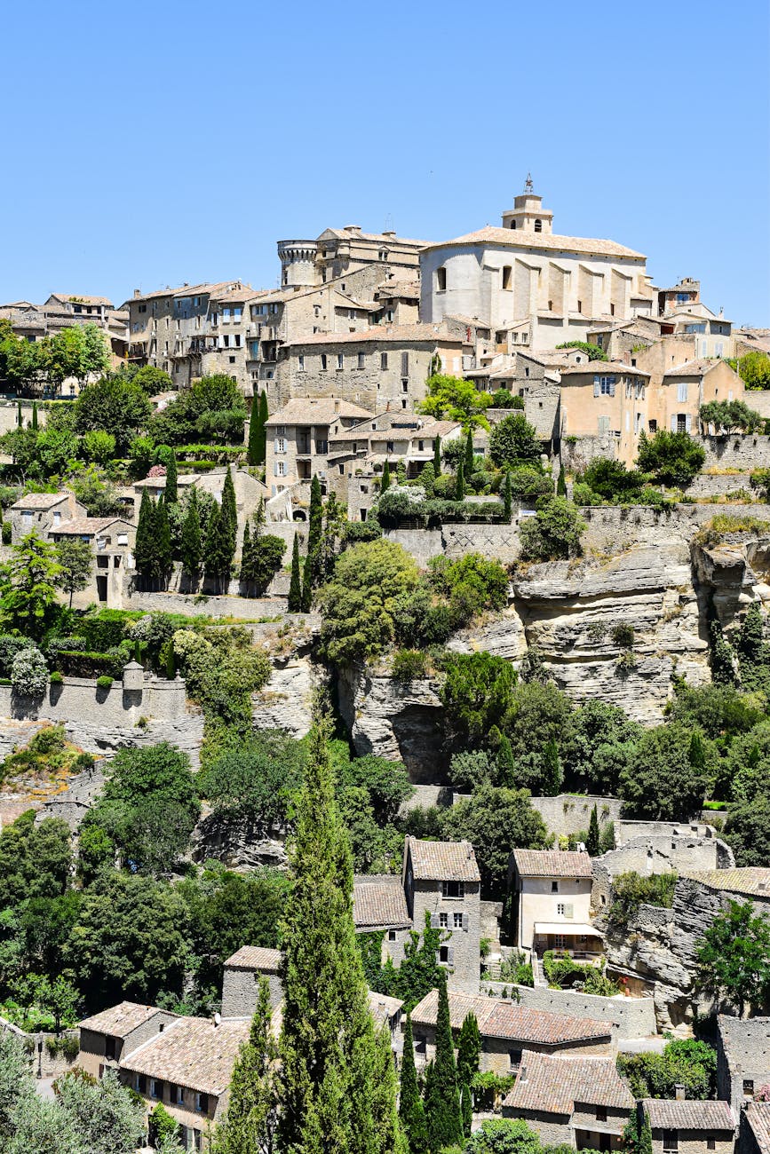 Provence (Lavender)